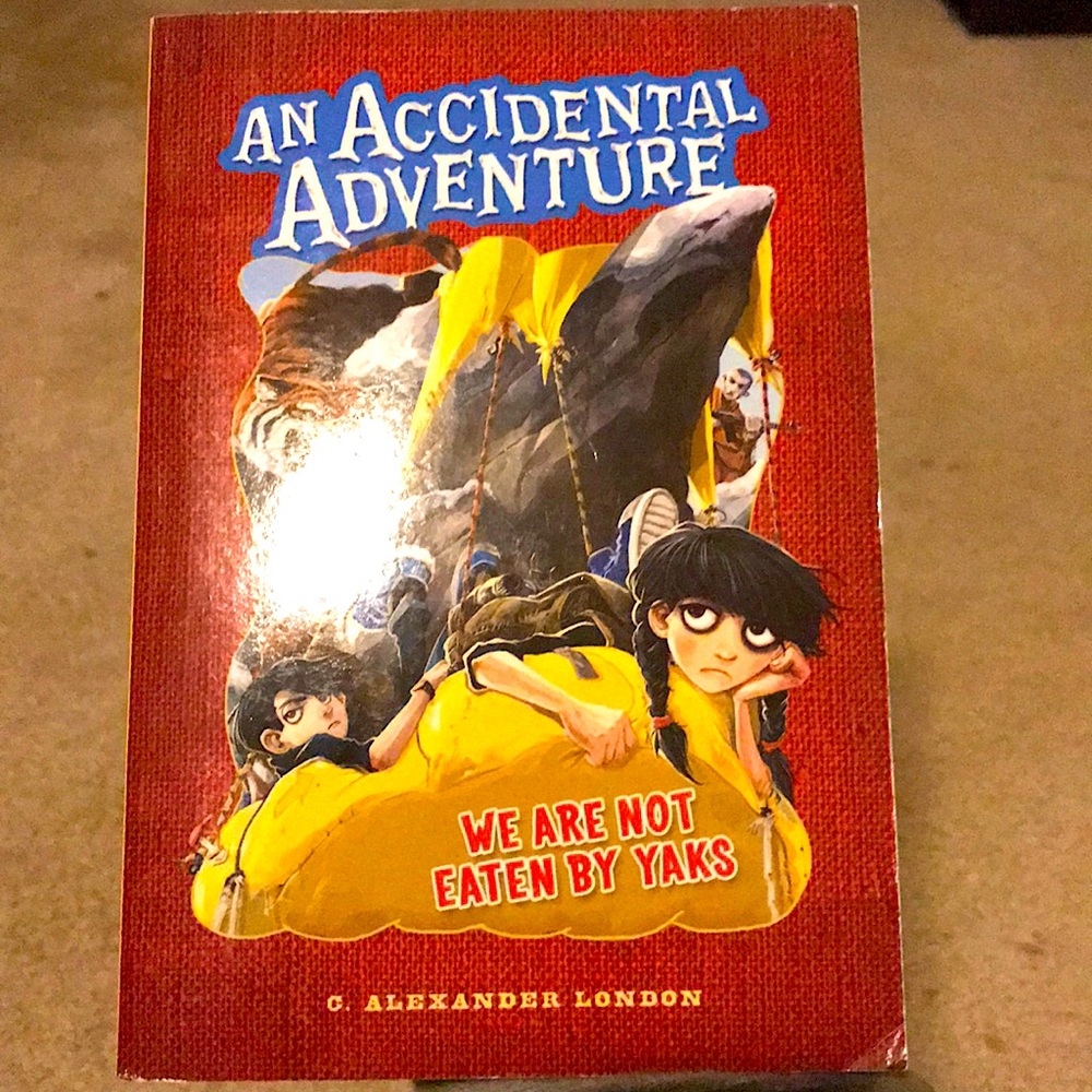 An Accidental Adventure #1